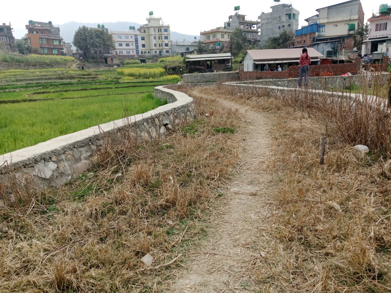 Picture of Mahalaxmi Municipality, Bagmati